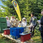 Pressetermin_am_Schulungsbienenstand