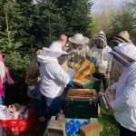 Schleier_sind_kein_Muss